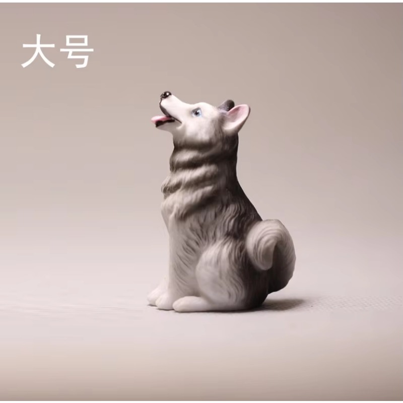 การ์ตูนอะนิเมะสัตว์เล็กสุนัขน่ - First Bonsai Garden บทวิจารณ์และราคา
