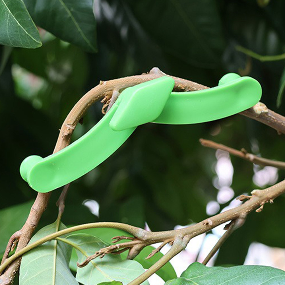 คลิปหนีบกิ่งบอนไซแบบปรับได้ 5  - Bonsai Garden Tree บทวิจารณ์และราคา