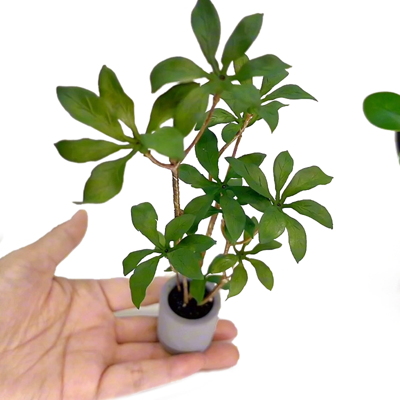 บ้านตุ๊กตา1:6กระถางต้นไม้โมเดล - Bonsai Garden Home บทวิจารณ์และราคา