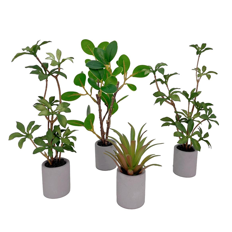 บ้านตุ๊กตา1:6กระถางต้นไม้โมเดล - Bonsai Garden Home บทวิจารณ์และราคา