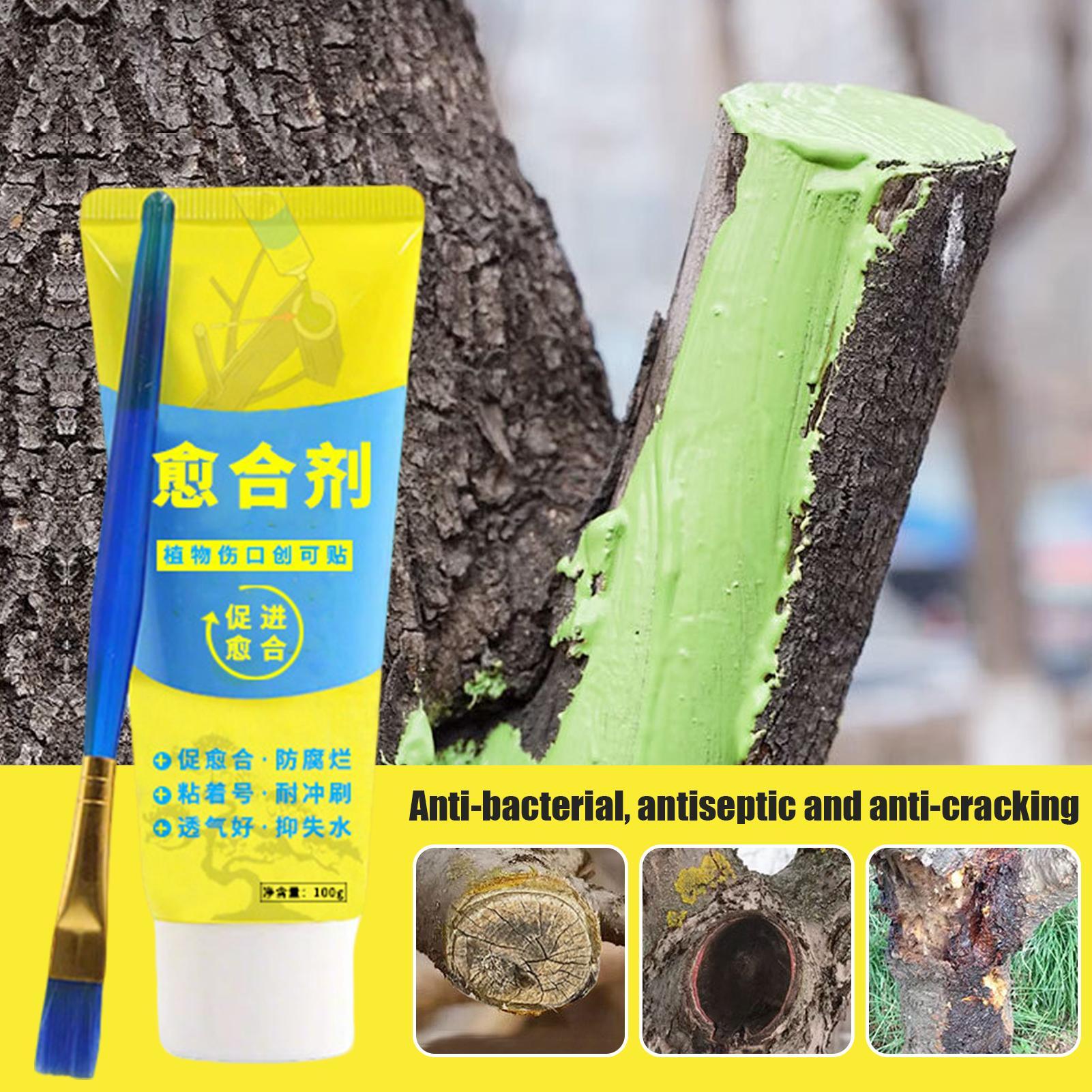 ยาทาแผลต้นไม้ บอนไซ 100 กรัม พ - Bonsai Garden Tree บทวิจารณ์และราคา