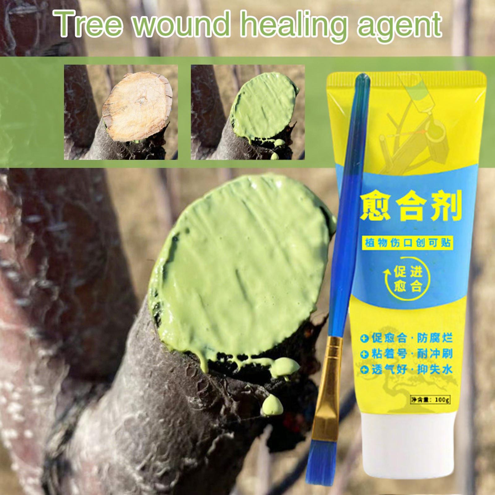 ยาทาแผลต้นไม้ บอนไซ 100 กรัม พ - Bonsai Garden Tree บทวิจารณ์และราคา