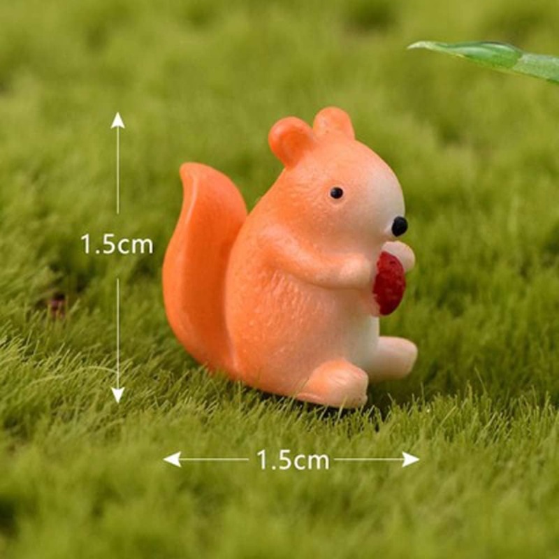 สัตว์ขนาดเล็ก Miniature Fairy  - First Bonsai Garden บทวิจารณ์และราคา