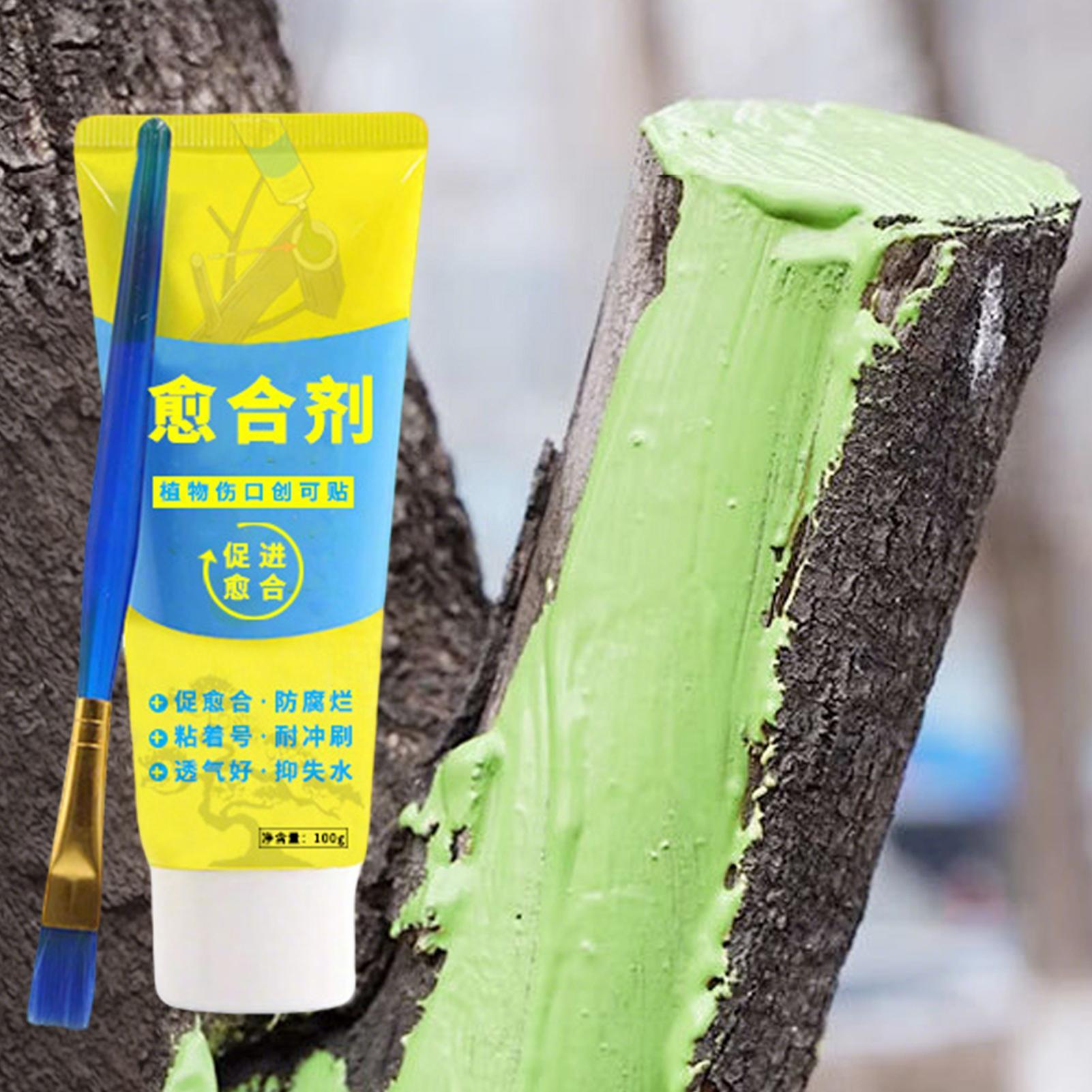 น้ำยาปิดแผลต้นไม้ ป้องกันการติ - Bonsai Garden Tree บทวิจารณ์และราคา