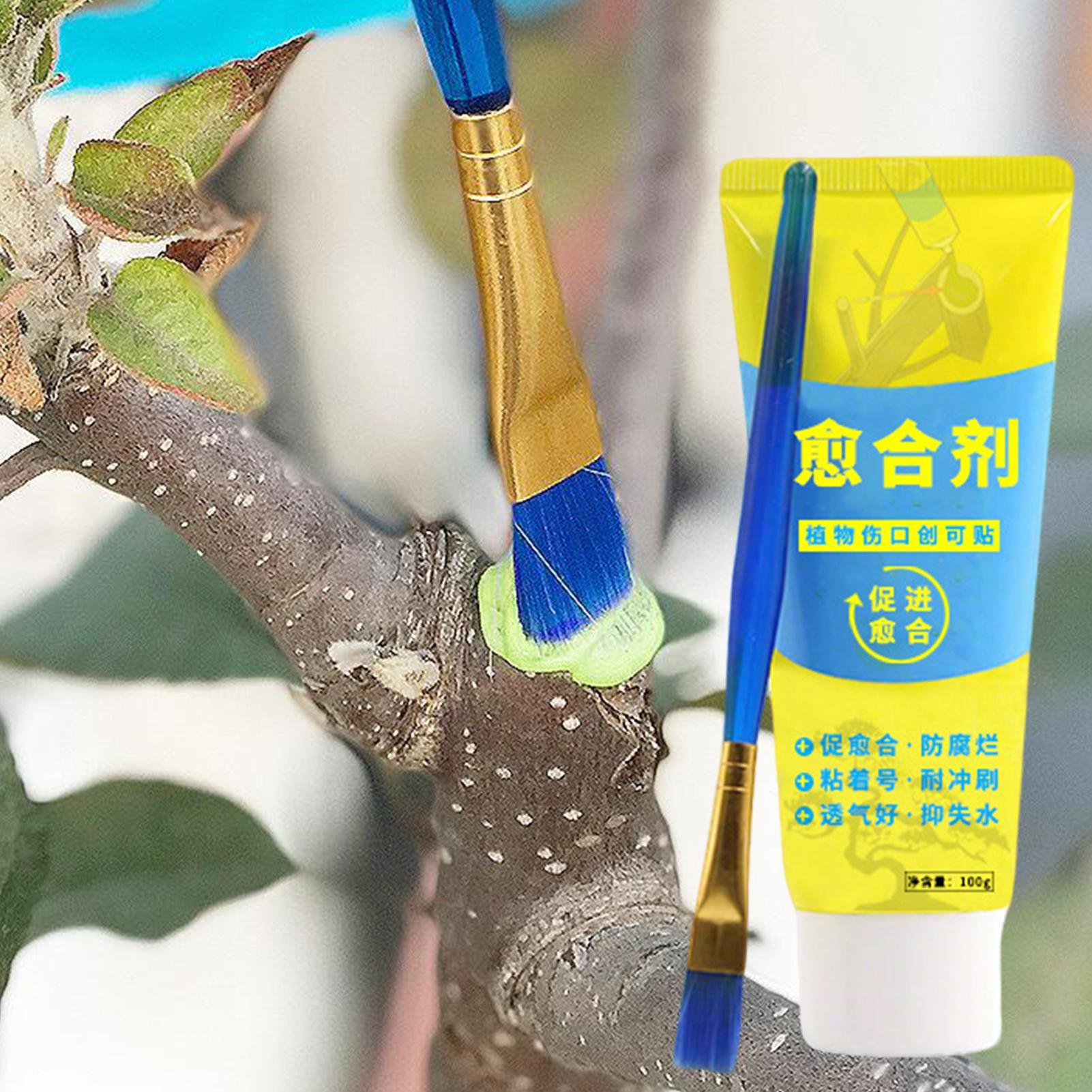 น้ำยาปิดแผลต้นไม้ ป้องกันการติ - Bonsai Garden Tree บทวิจารณ์และราคา