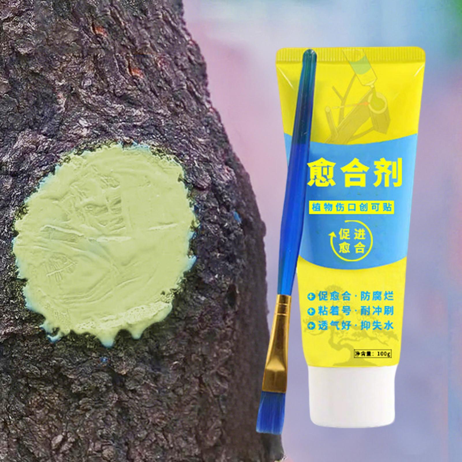 น้ำยาปิดแผลต้นไม้ ป้องกันการติ - Bonsai Garden Tree บทวิจารณ์และราคา