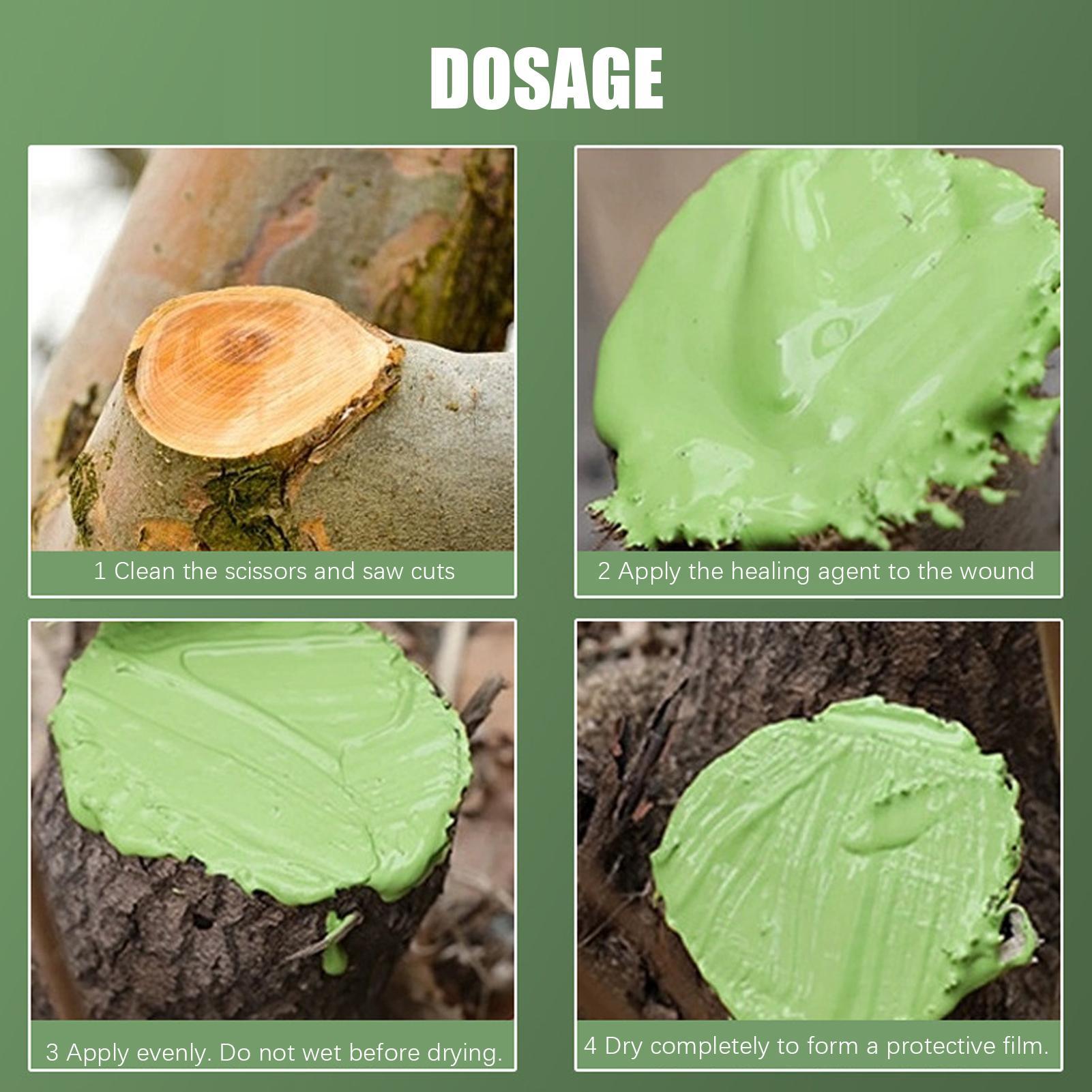 น้ำยาปิดแผลต้นไม้ ป้องกันการติ - Bonsai Garden Tree บทวิจารณ์และราคา