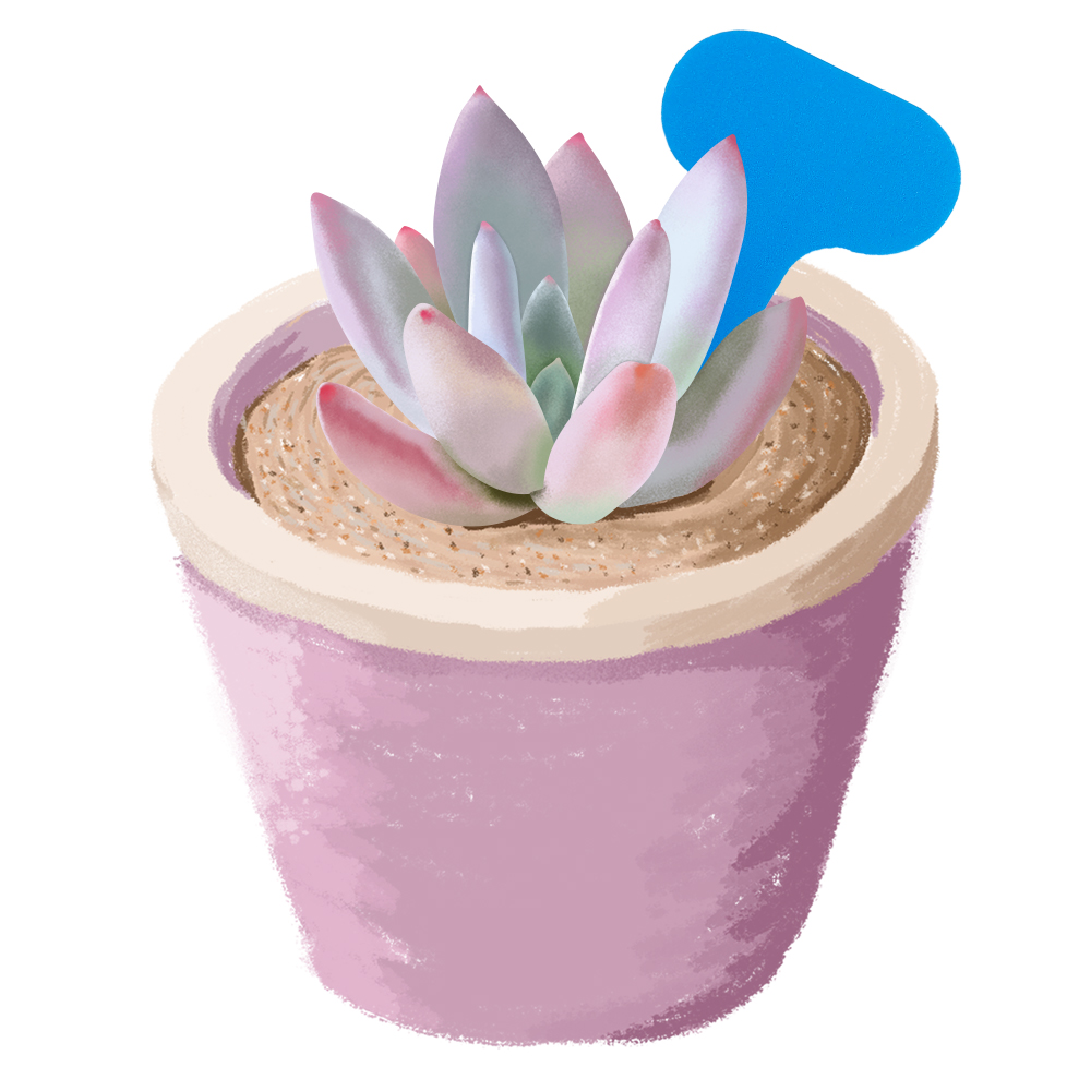 50PCS สวนป้าย MARKER 50*70 มม. - Bonsai Garden Ticket บทวิจารณ์และราคา