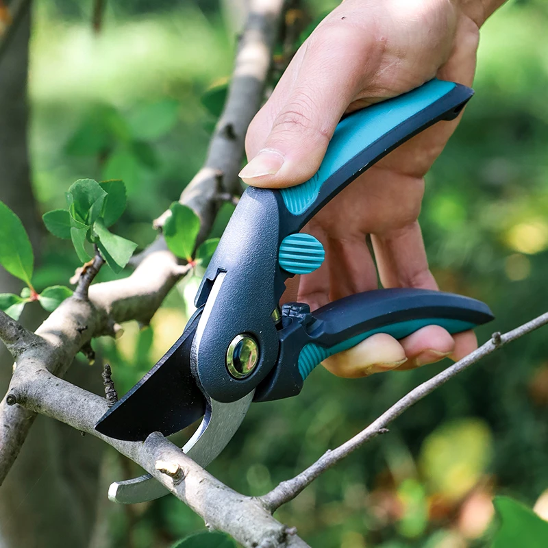 กรรไกรตัดแต่งกิ่งไม้ผล, กรรไกร - Bonsai Garden Tree บทวิจารณ์และราคา