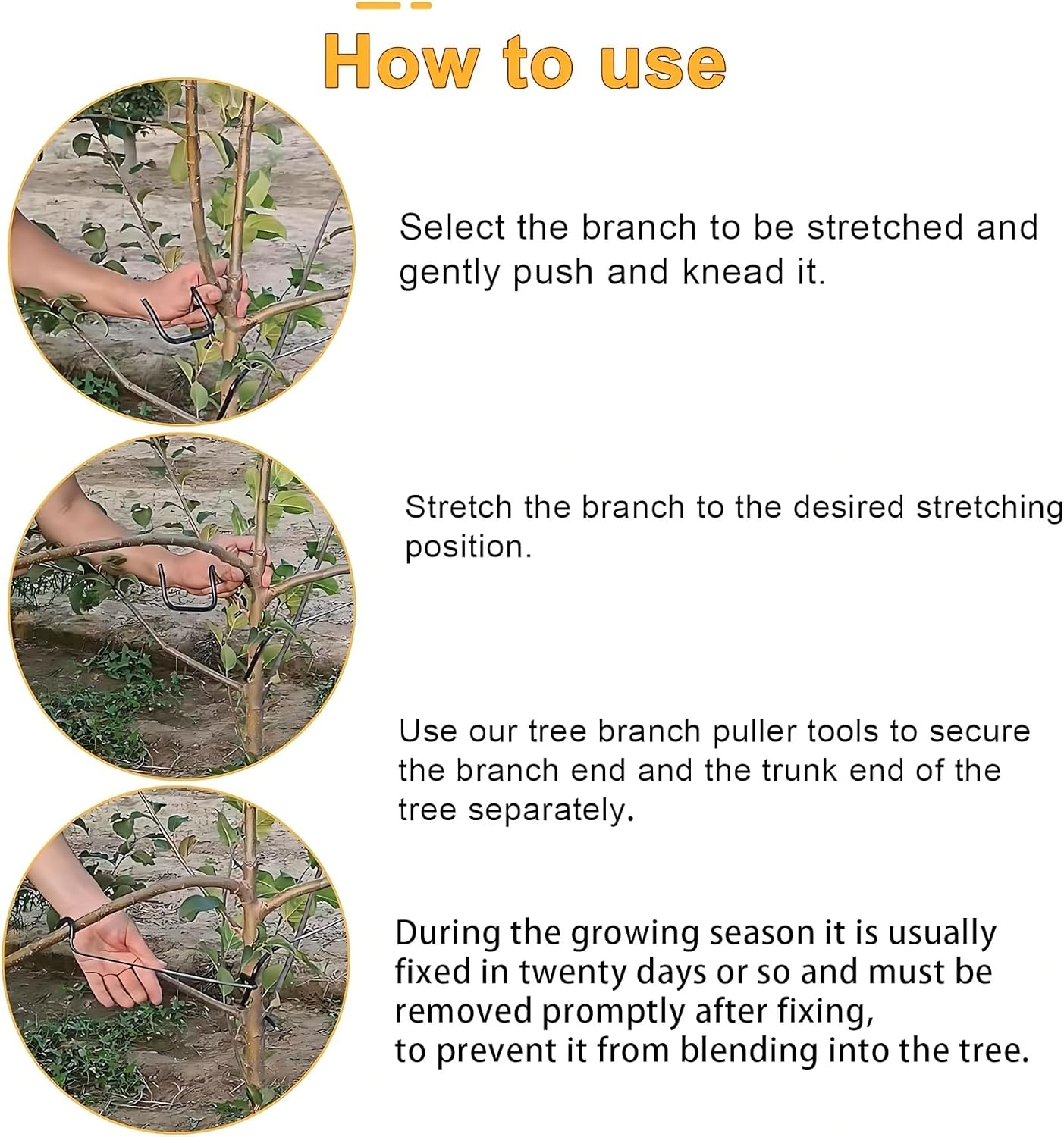 เครื่องมือปรับแต่งกิ่งไม้ผลไม้ - Bonsai Garden Tree บทวิจารณ์และราคา
