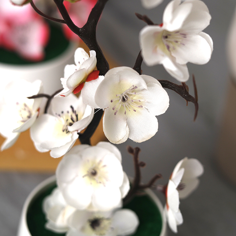 กิ่งสนพลาสติกสีเขียวสำหรับตกแต - Bonsai Garden Home บทวิจารณ์และราคา