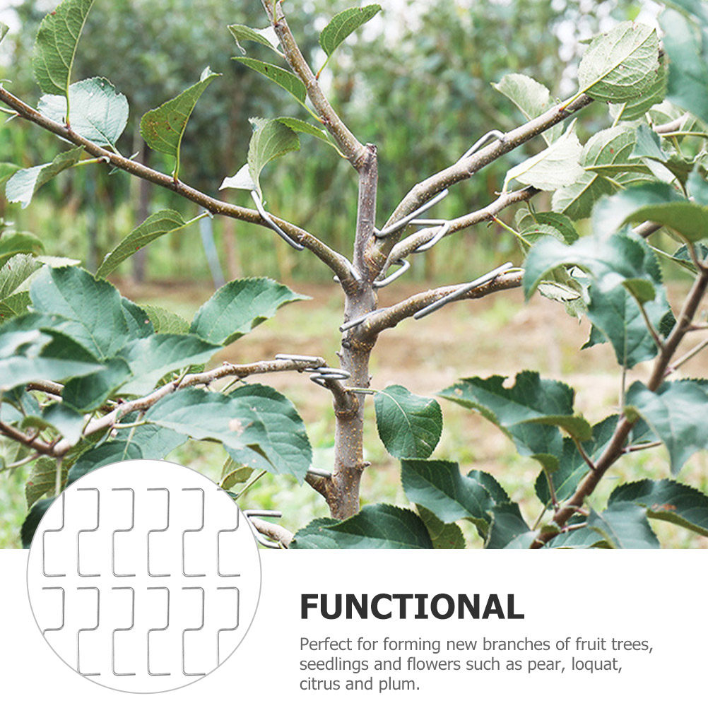 ชุดอุปกรณ์จัดแต่งกิ่งไม้ 1 ชุด - Bonsai Garden Tree บทวิจารณ์และราคา