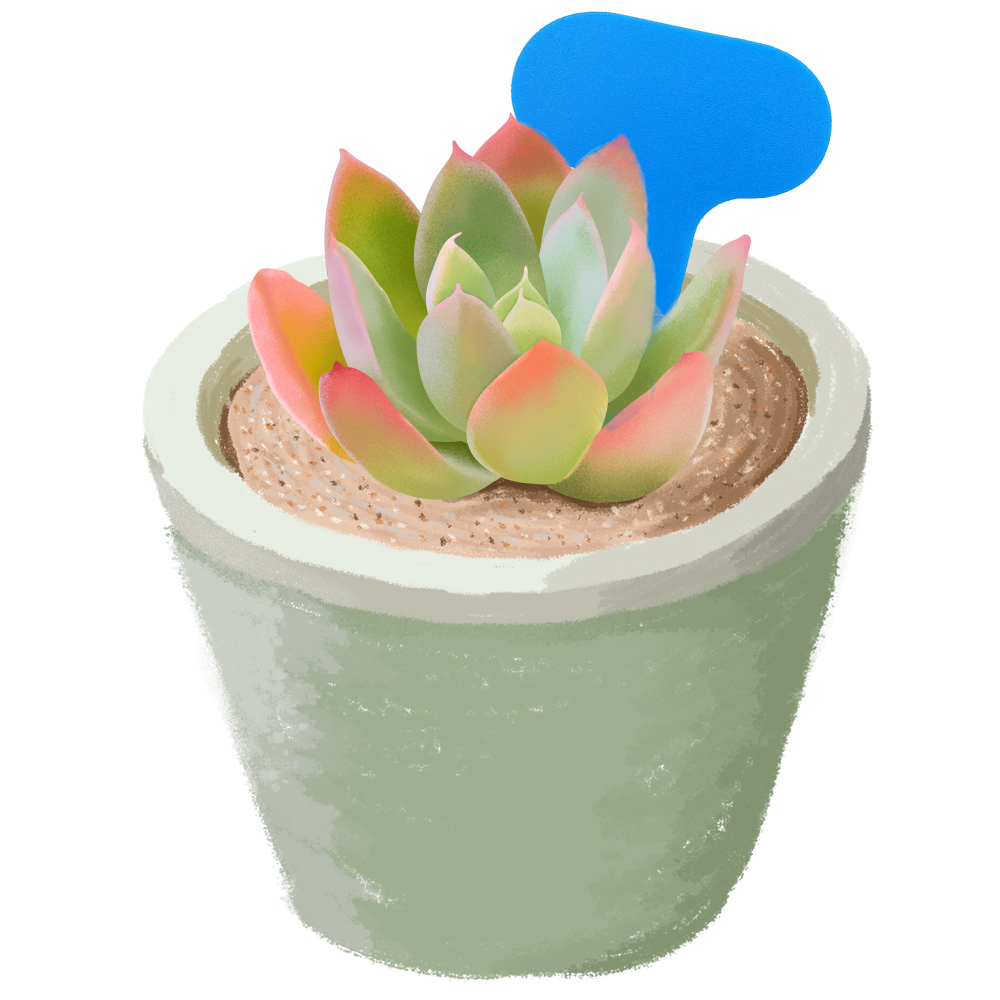 50PCS สวนป้าย MARKER 50*70 มม. - Bonsai Garden Ticket บทวิจารณ์และราคา