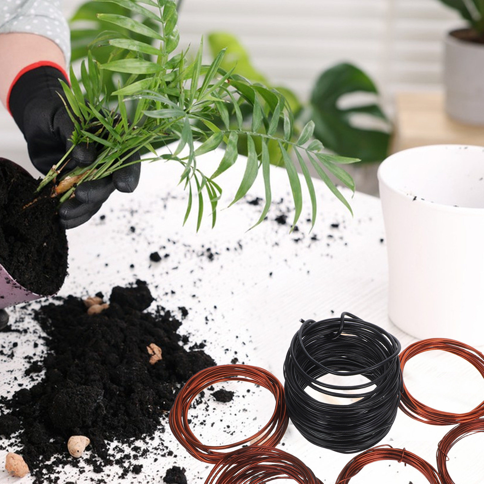 ลวดอลูมิเนียมแบบยืดหยุ่น 10 ชิ - Bonsai Garden Tree บทวิจารณ์และราคา