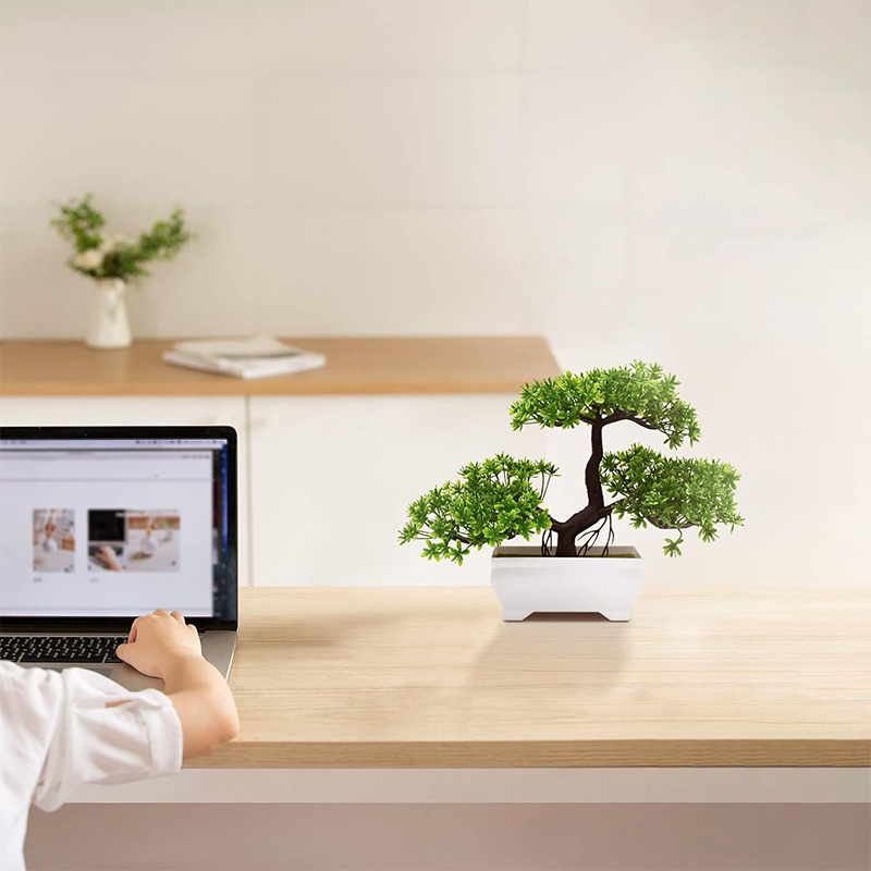 บอนไซประดิษฐ์พลาสติก Bionic โร - Bonsai Garden Home บทวิจารณ์และราคา