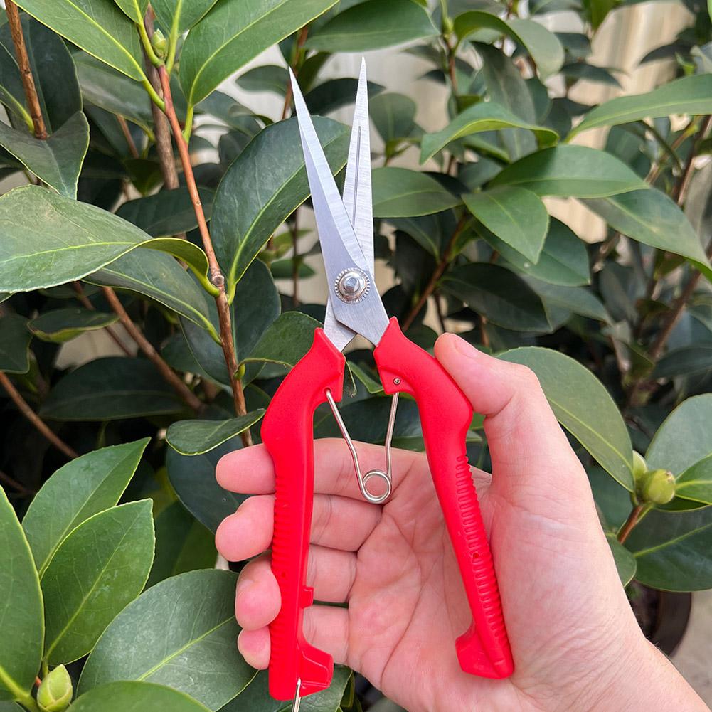 กรรไกรตัดแต่งกิ่ง Pro Garden แ - Bonsai Garden Tree บทวิจารณ์และราคา