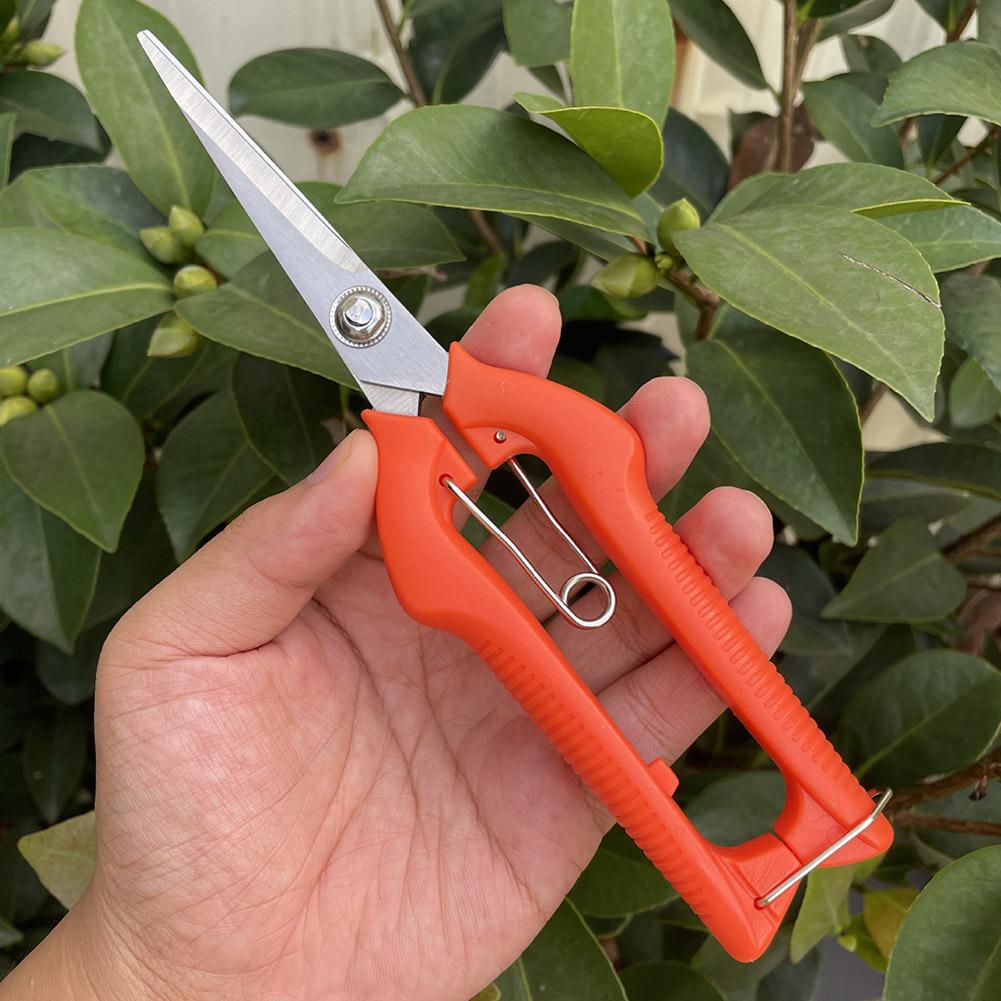 กรรไกรตัดแต่งกิ่ง Pro Garden แ - Bonsai Garden Tree บทวิจารณ์และราคา