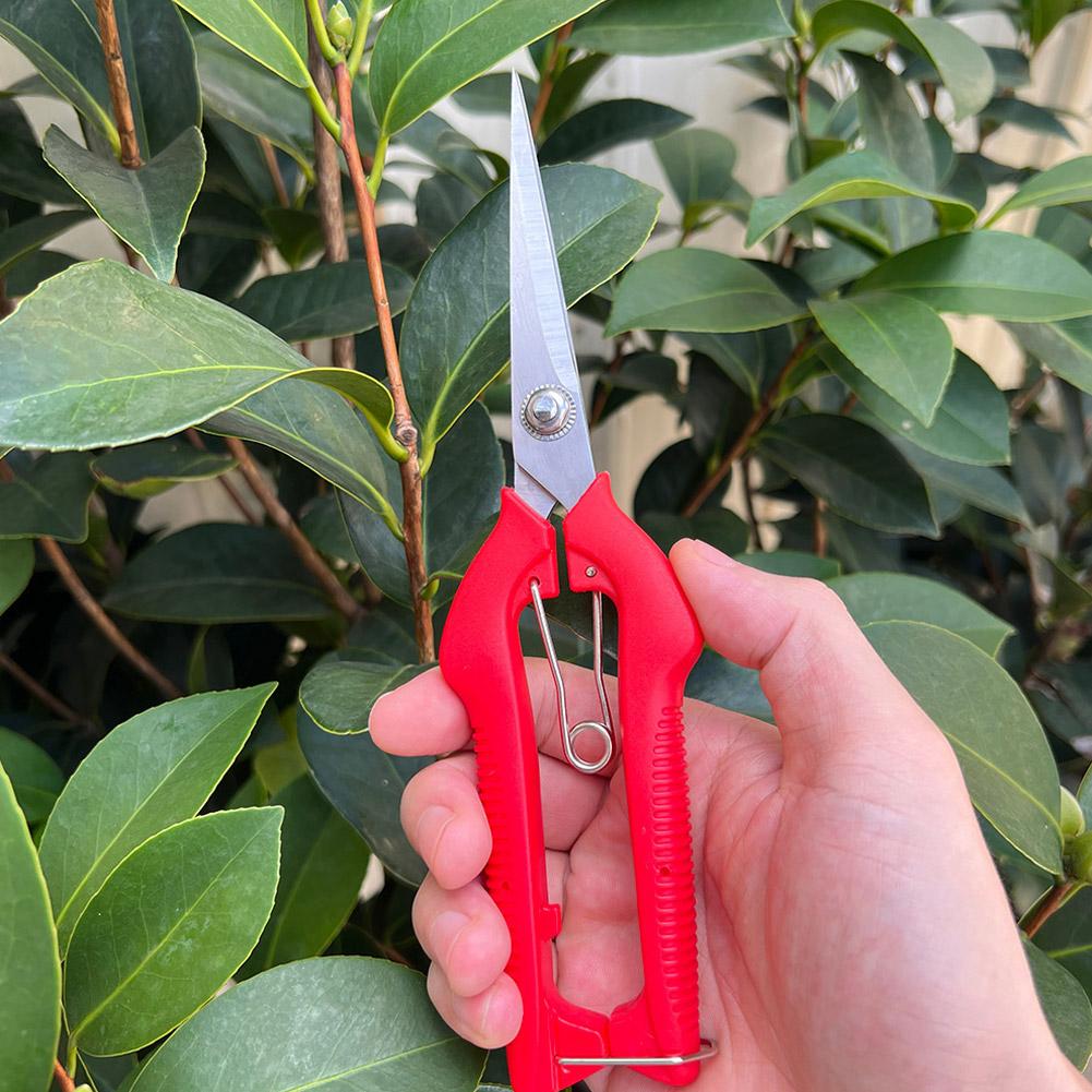 กรรไกรตัดแต่งกิ่ง Pro Garden แ - Bonsai Garden Tree บทวิจารณ์และราคา