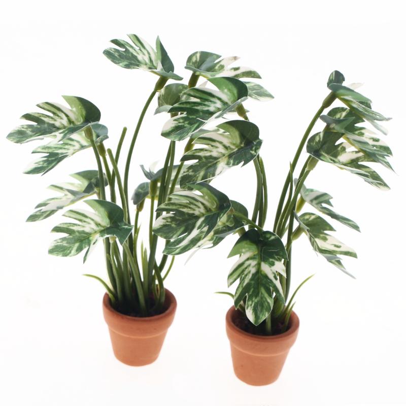 ใหม่! ต้นมอนสเตอร่าจำลอง 1 ชิ้ - Bonsai Garden Home บทวิจารณ์และราคา