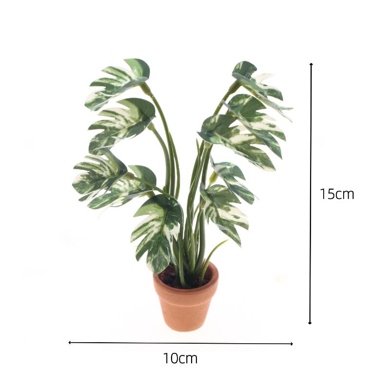 ใหม่! ต้นมอนสเตอร่าจำลอง 1 ชิ้ - Bonsai Garden Home บทวิจารณ์และราคา