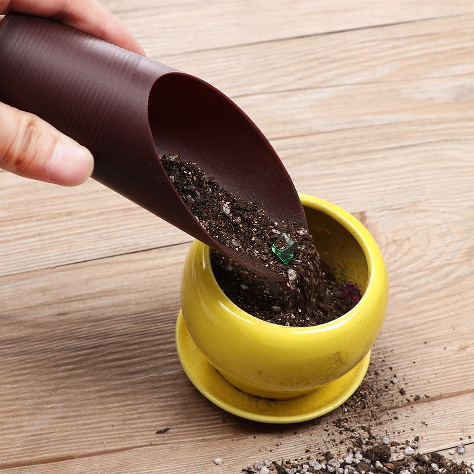 ถ้วยพลั่วดินพลาสติก1ชิ้นสำหรับ - Bonsai Garden Home บทวิจารณ์และราคา